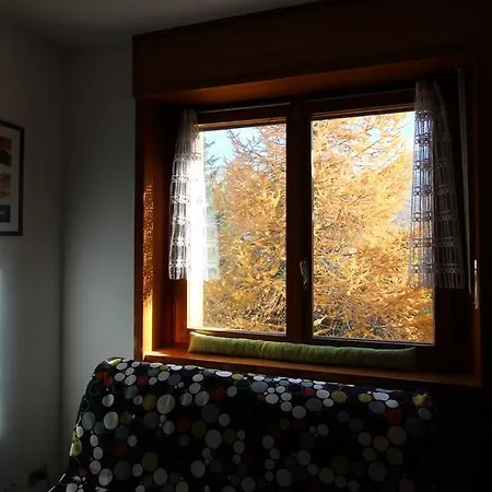 Zenith Apartment