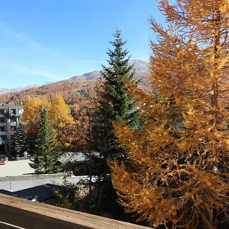 Zenith Apartment